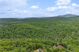 132 Yearling Ln, Blowing Rock, NC 28605 - Photo 28