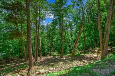 108 Windridge Road, Beech Mountain, NC 28604 - Photo 38