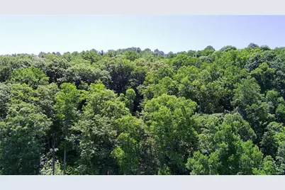 Tbd Council Ward Road, Sugar Grove, NC 28679 - Photo 6