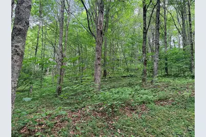 Tbd Chestnut Mountain Road, Banner Elk, NC 28604 - Photo 8