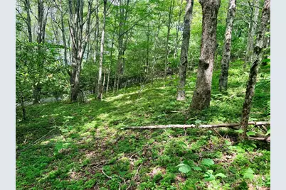 Tbd Chestnut Mountain Road, Banner Elk, NC 28604 - Photo 4
