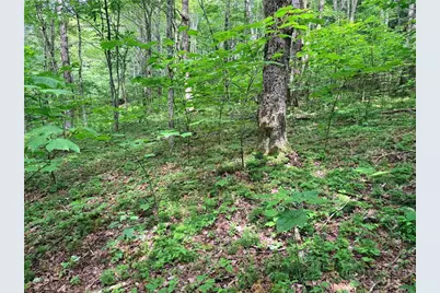 Tbd Chestnut Mountain Road, Banner Elk, NC 28604 - Photo 6