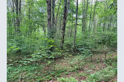 Tbd Chestnut Mountain Road, Banner Elk, NC 28604 - Photo 18