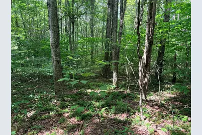 Tbd Chestnut Mountain Road, Banner Elk, NC 28604 - Photo 16