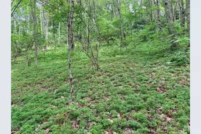 Tbd Chestnut Mountain Road, Banner Elk, NC 28604 - Photo 10