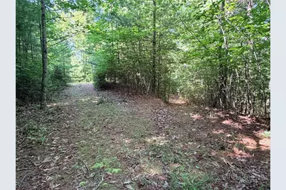Lots 171 & 172B Blue Rock Road, Purlear, NC 28665 - Photo 10