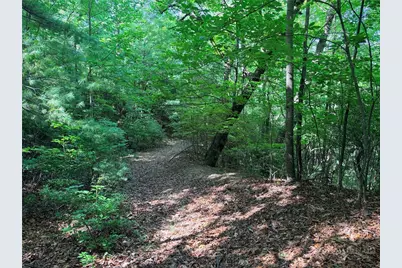 Lots 171 & 172B Blue Rock Road, Purlear, NC 28665 - Photo 12