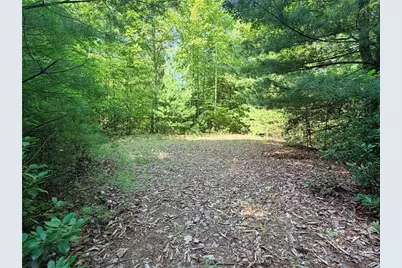 Lots 171 & 172B Blue Rock Road, Purlear, NC 28665 - Photo 2