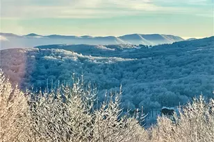 128 Village Rd, Beech Mountain, NC 28604 - Photo 4