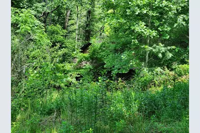 886 Hanging Rock Road, Spruce Pine, NC 28777 - Photo 48