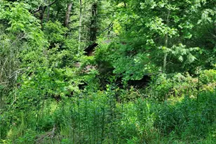 886 Hanging Rock Rd, Spruce Pine, NC 28777 - Photo 48
