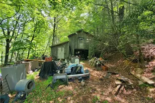 886 Hanging Rock Rd, Spruce Pine, NC 28777 - Photo 12