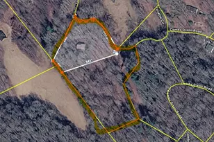 737 Trivette Cir, Sugar Grove, NC 28679 - Photo 34