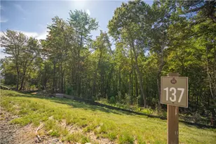 Lot 137 Angelfire Trail, Deep Gap, NC 28618 - Photo 1