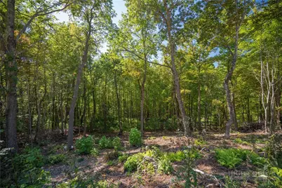 Lot 137 Angelfire Trail, Deep Gap, NC 28618 - Photo 6
