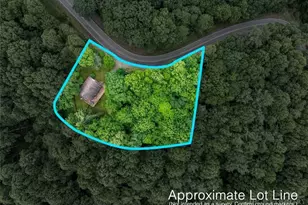 1218 Waterfall Rd, Sparta, NC 28675 - Photo 4