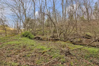Tbd Big Helton Road, Grassy Creek, NC 28631 - Photo 10