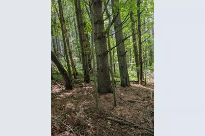 Tbd Doell Lane #20, Sparta, NC 28675 - Photo 8