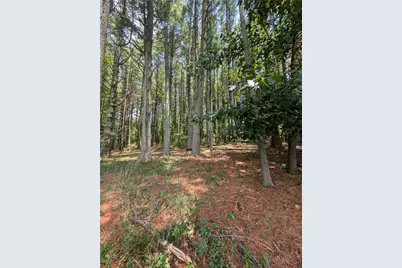 Tbd Doell Lane #20, Sparta, NC 28675 - Photo 16