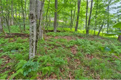 Tbd Junaluska, Boone, NC 28607 - Photo 6