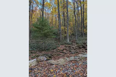 Tbd Rocky Mountain Road, Sparta, NC 28627 - Photo 18