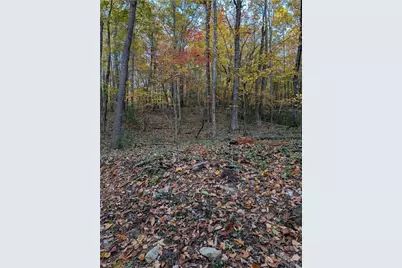 Tbd Rocky Mountain Road, Sparta, NC 28627 - Photo 14