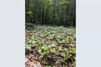 Tbd Rocky Mountain Road, Sparta, NC 28627 - Photo 2