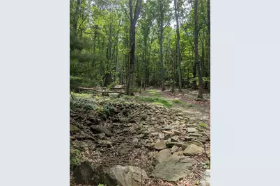 Tbd Rocky Mountain Road, Sparta, NC 28627 - Photo 6