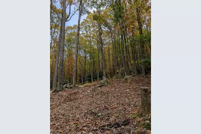 Tbd Rocky Mountain Road, Sparta, NC 28627 - Photo 22