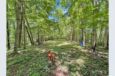 321 Grays Shadow Lane, Banner Elk, NC 28604 - Photo 40