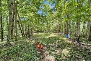 321 Grays Shadow Ln, Banner Elk, NC 28604 - Photo 40