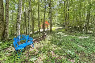 321 Grays Shadow Ln, Banner Elk, NC 28604 - Photo 2