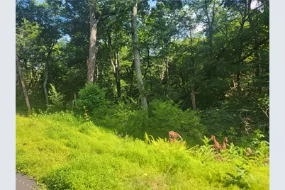 Tbd Tree Top Drive, Boone, NC 28607 - Photo 1