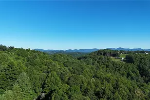 395 Wildcat Estates Dr, Deep Gap, NC 28618 - Photo 30