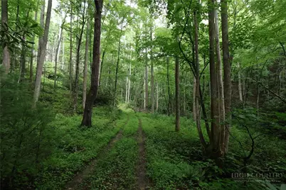 Tbd Blowing Rock Road, Lenoir, NC 28645 - Photo 1