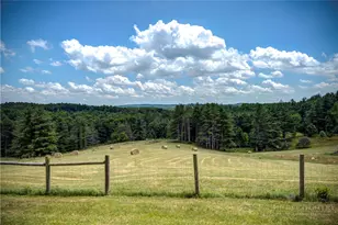 1712 Rich Hill Rd, Glade Valley, NC 28627 - Photo 4