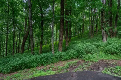 Lot 4 Old Orchard Road, Blowing Rock, NC 28605 - Photo 18