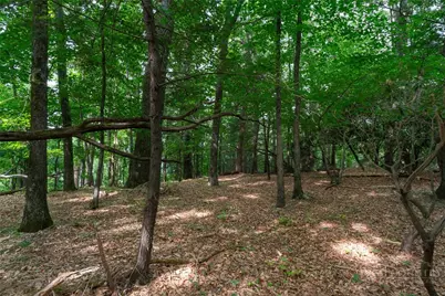 Lot 4 Old Orchard Road, Blowing Rock, NC 28605 - Photo 12