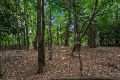 Lot 4 Old Orchard Road, Blowing Rock, NC 28605 - Photo 2