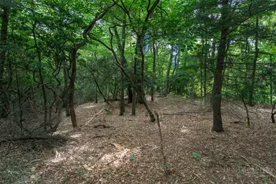 Lot 4 Old Orchard Road, Blowing Rock, NC 28605 - Photo 8