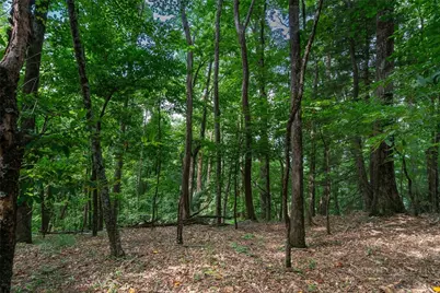 Lot 4 Old Orchard Road, Blowing Rock, NC 28605 - Photo 10