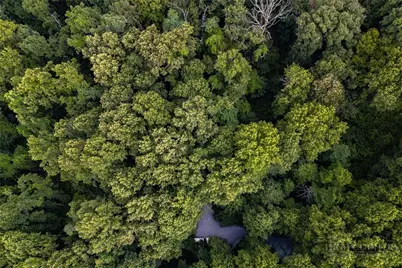 Lot 4 Old Orchard Road, Blowing Rock, NC 28605 - Photo 14