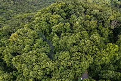 Lot 4 Old Orchard Road, Blowing Rock, NC 28605 - Photo 16