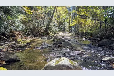 294 Wildcat Ridge Road, Deep Gap, NC 28618 - Photo 24