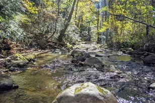 294 Wildcat Ridge Rd, Deep Gap, NC 28618 - Photo 24
