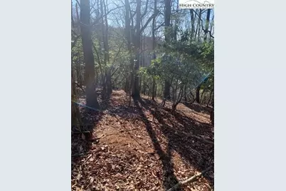 Tba Park Vista Road, West Jefferson, NC 28694 - Photo 10