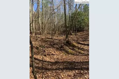 Tba Park Vista Road, West Jefferson, NC 28694 - Photo 8