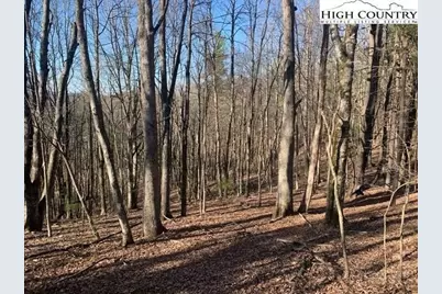 Tba Park Vista Road, West Jefferson, NC 28694 - Photo 12