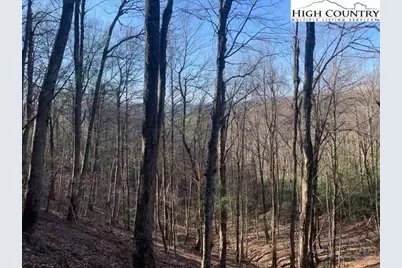 Tba Park Vista Road, West Jefferson, NC 28694 - Photo 14