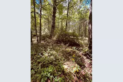 6835 Nc 183 Highway, Newland, NC 28657 - Photo 32